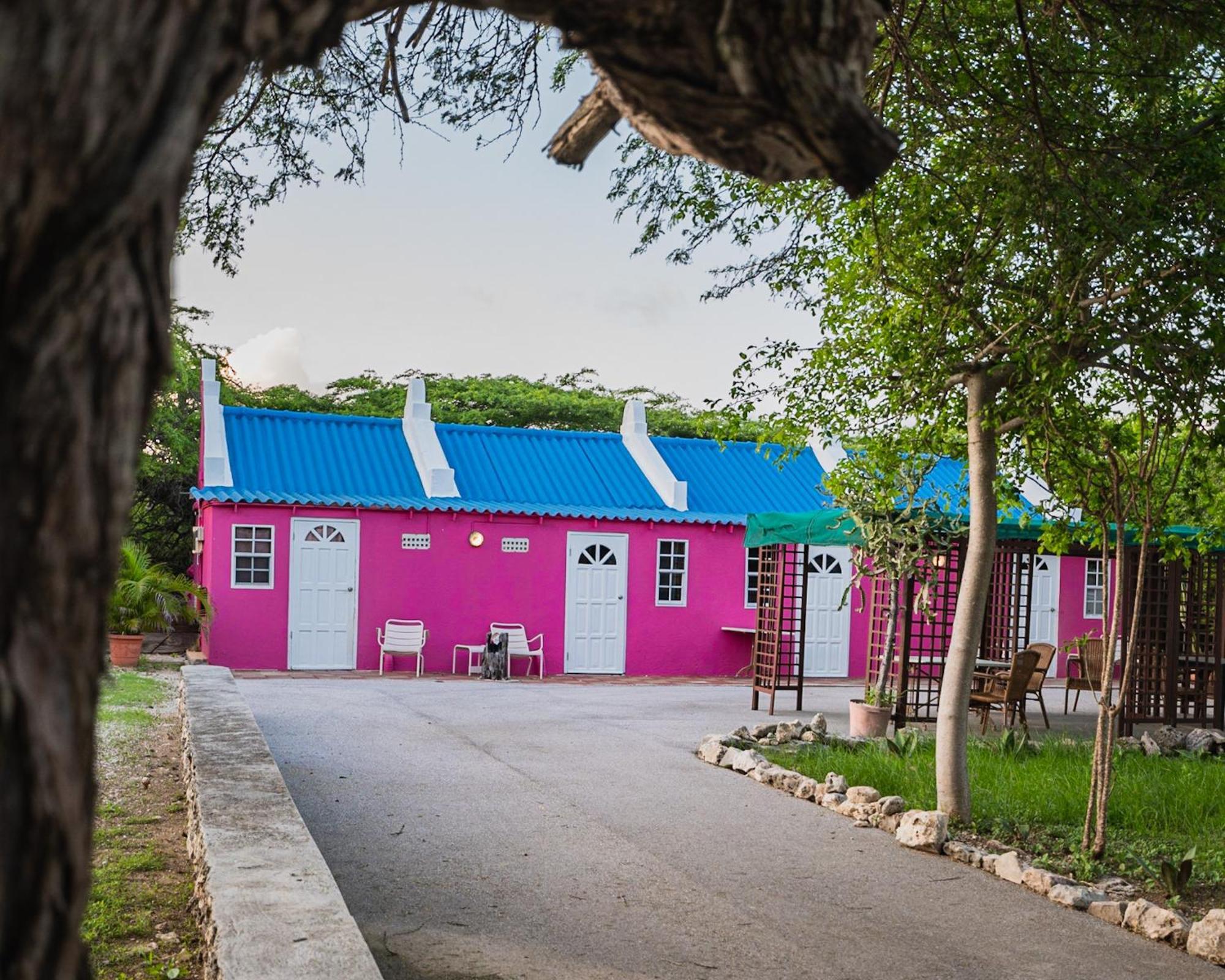 Landhuis Daniel - Plantation House Tera Kora Dış mekan fotoğraf