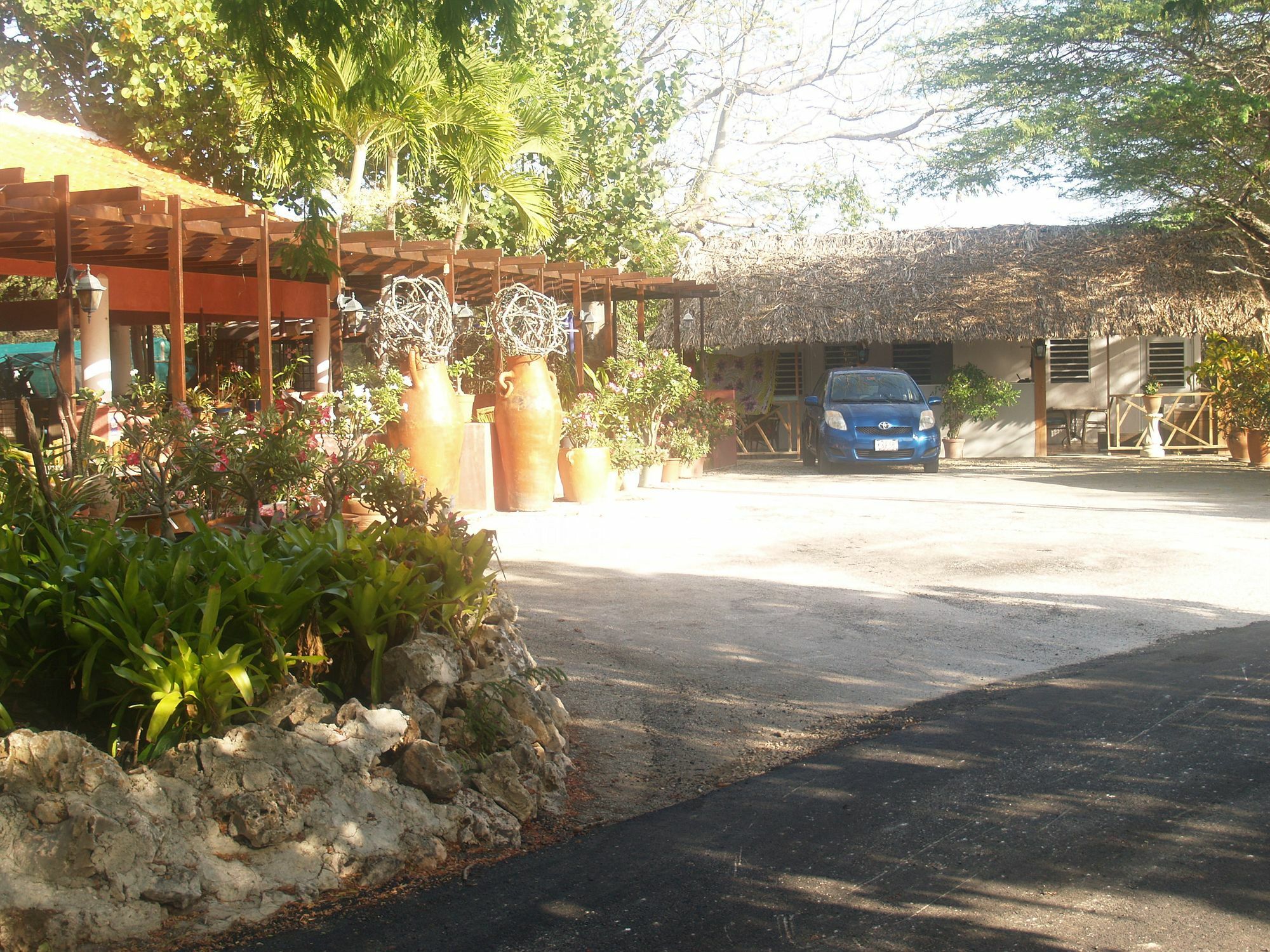 Landhuis Daniel - Plantation House Tera Kora Dış mekan fotoğraf