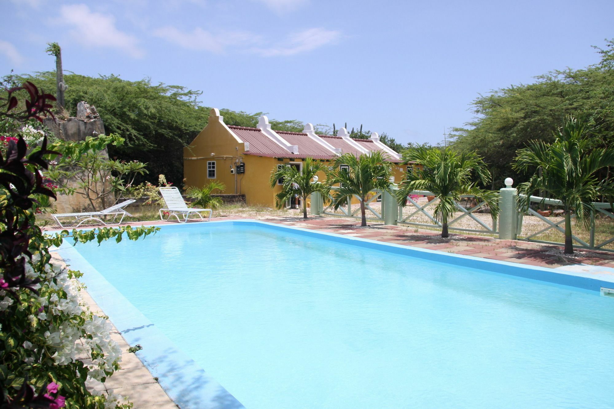 Landhuis Daniel - Plantation House Tera Kora Dış mekan fotoğraf